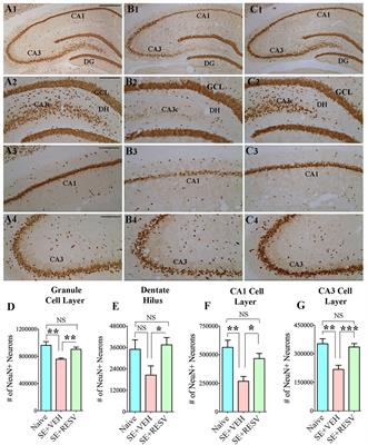 Resveratrol for Easing Status Epilepticus Induced Brain Injury, Inflammation, Epileptogenesis, and Cognitive and Memory Dysfunction—Are We There Yet?